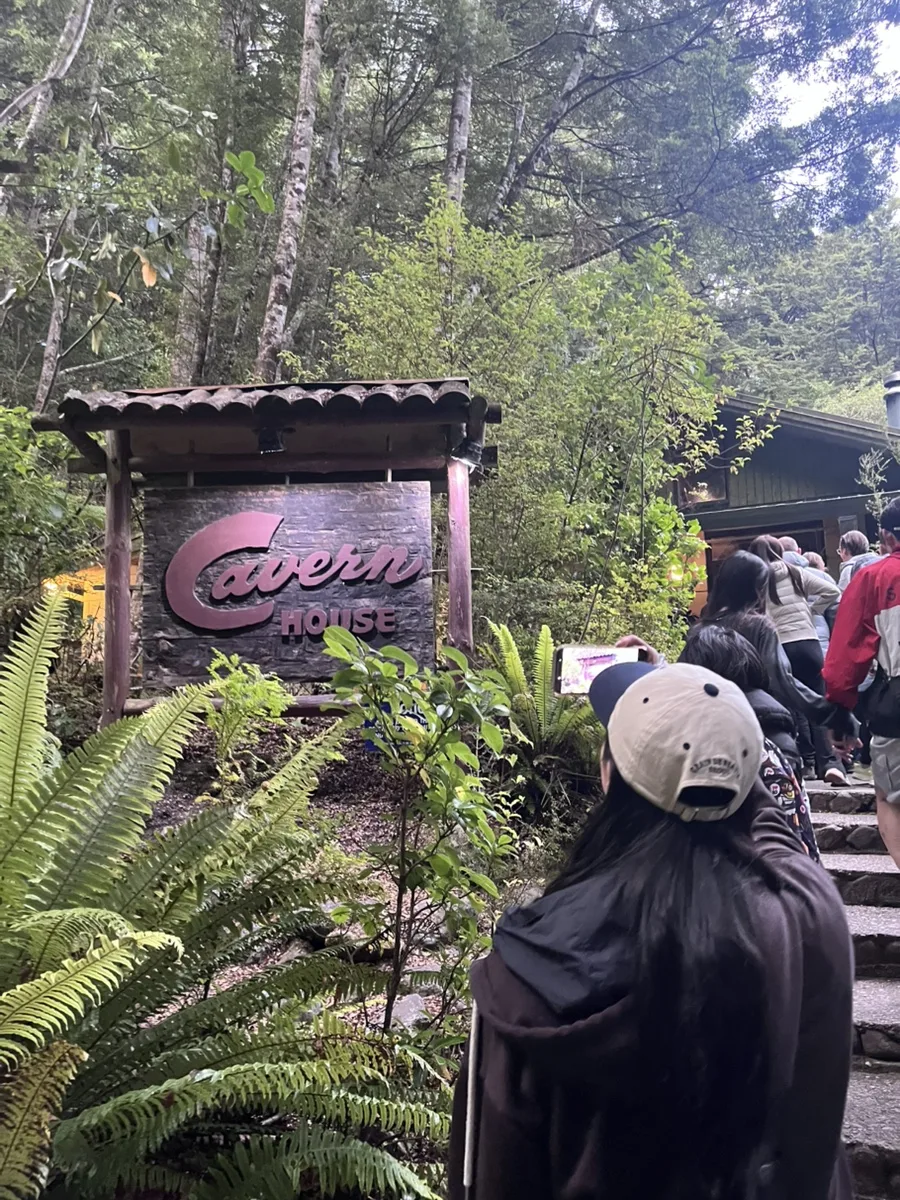 Te Anau Glowworm Tour