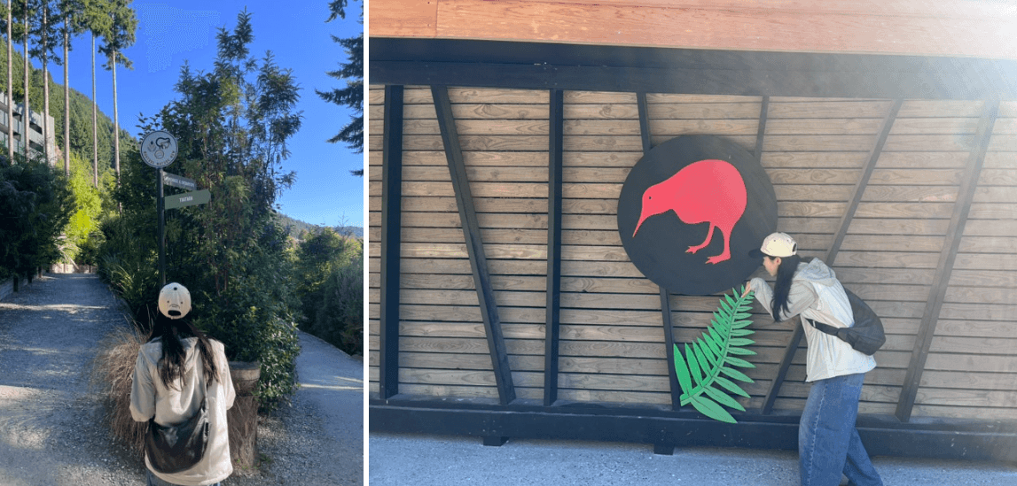 Kiwi park