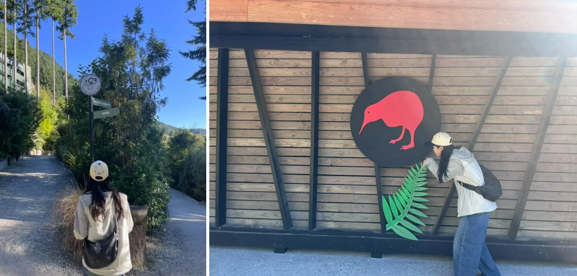 Kiwi park