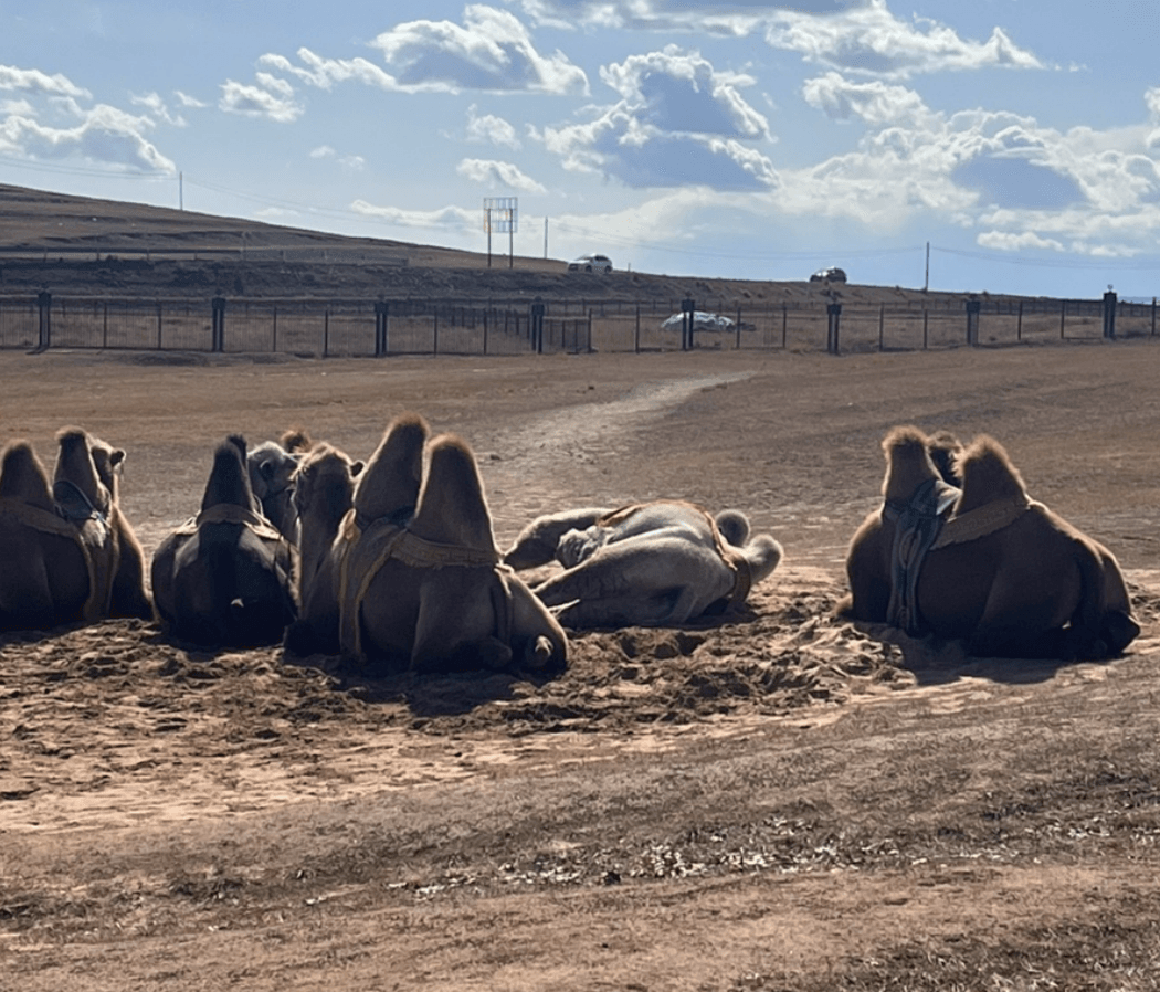 Mongolia Travel — Chinggis Khan Statue Complex