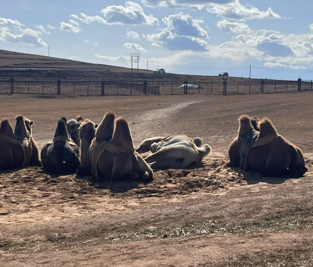 Mongolia Travel — Chinggis Khan Statue Complex