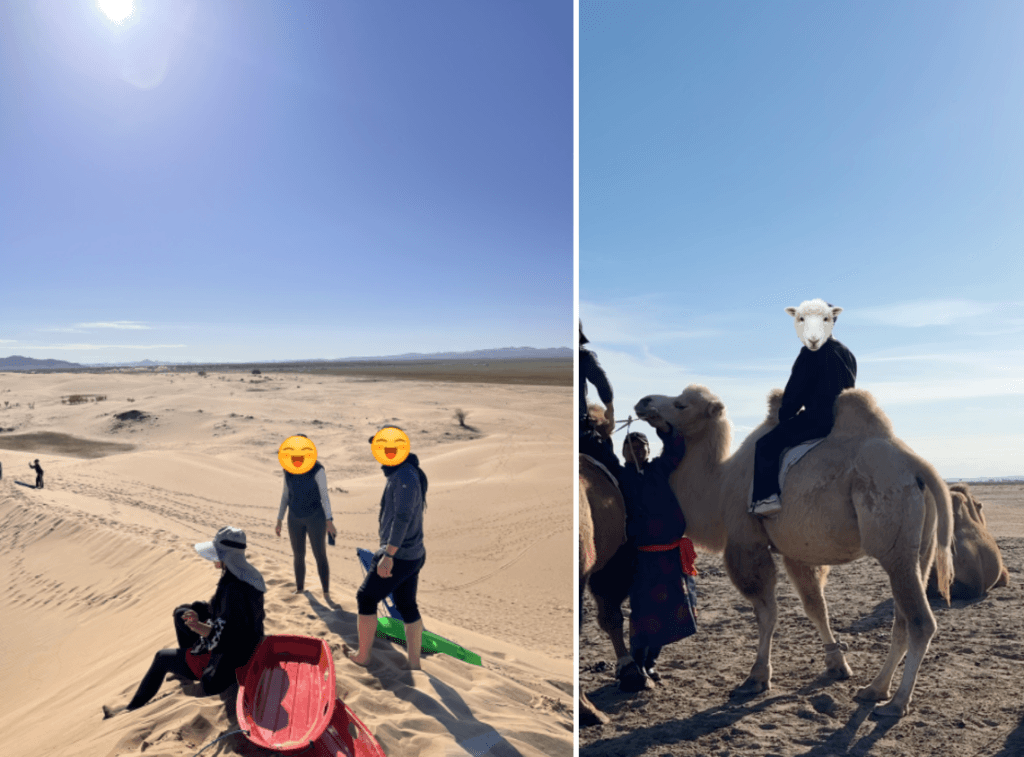 Elsen Tasarkhai Mongolia — Desert, Camel