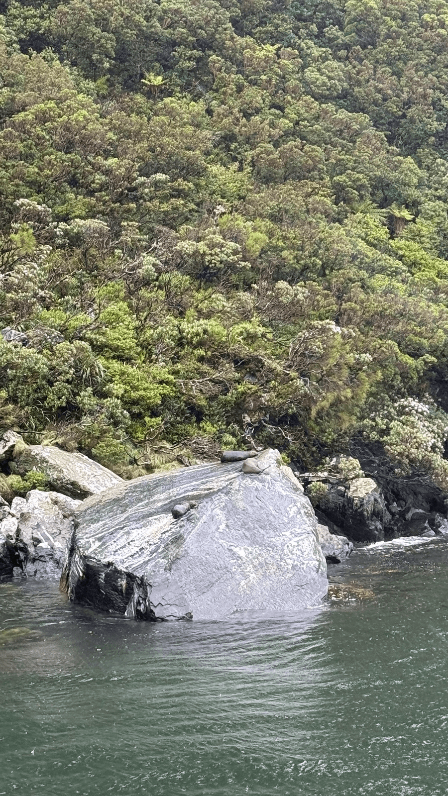 Milford Sound