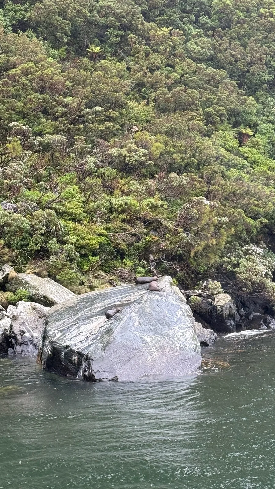 Milford Sound